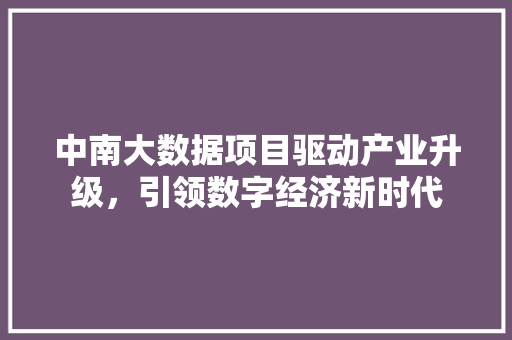 中南大数据项目驱动产业升级，引领数字经济新时代