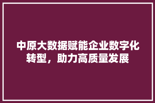 中原大数据赋能企业数字化转型，助力高质量发展
