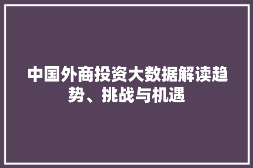 中国外商投资大数据解读趋势、挑战与机遇