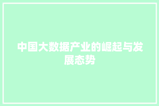 中国大数据产业的崛起与发展态势