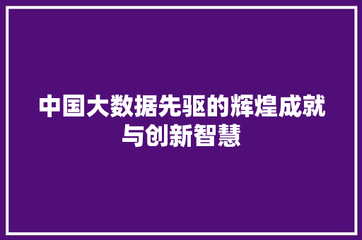 中国大数据先驱的辉煌成就与创新智慧
