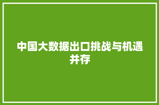 中国大数据出口挑战与机遇并存