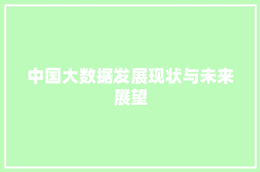 中国大数据发展现状与未来展望