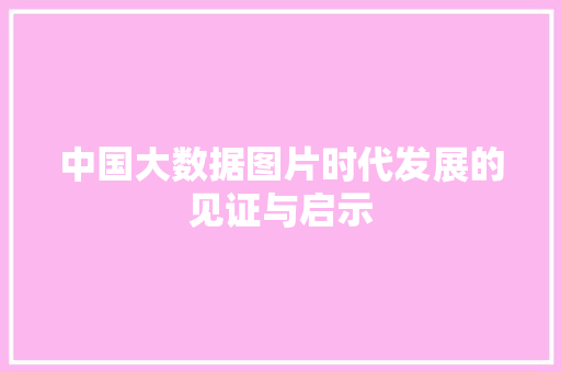 中国大数据图片时代发展的见证与启示