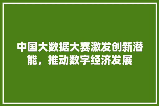 中国大数据大赛激发创新潜能，推动数字经济发展