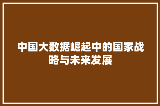 中国大数据崛起中的国家战略与未来发展