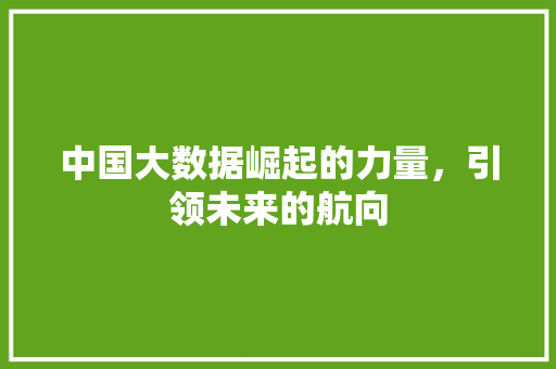 中国大数据崛起的力量，引领未来的航向