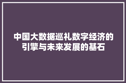 中国大数据巡礼数字经济的引擎与未来发展的基石