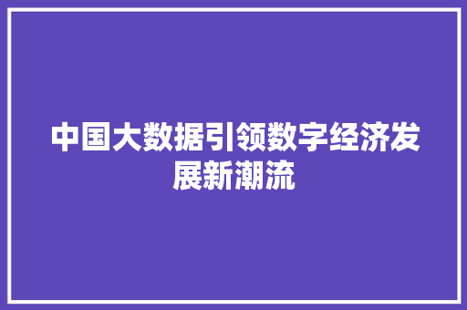 中国大数据引领数字经济发展新潮流