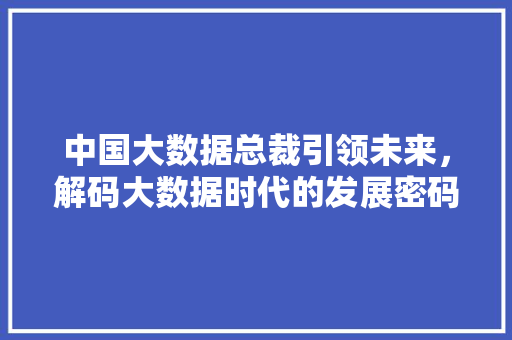 中国大数据总裁引领未来，解码大数据时代的发展密码 服务器/数据库