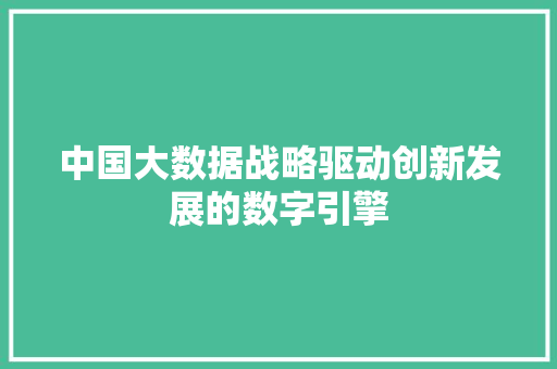 中国大数据战略驱动创新发展的数字引擎