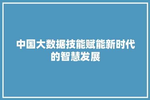 中国大数据技能赋能新时代的智慧发展