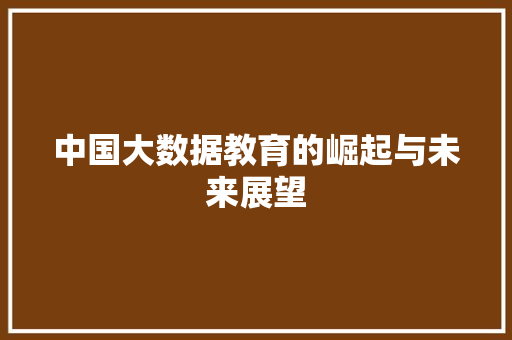 中国大数据教育的崛起与未来展望