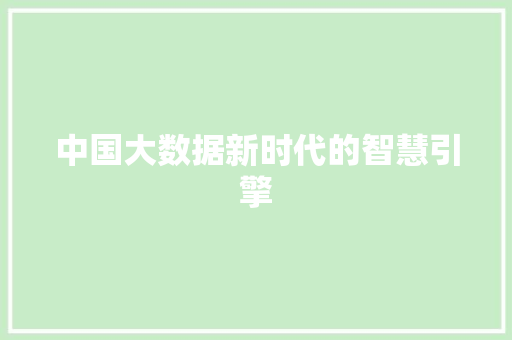 中国大数据新时代的智慧引擎