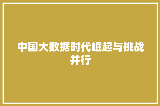 中国大数据时代崛起与挑战并行