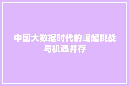 中国大数据时代的崛起挑战与机遇并存