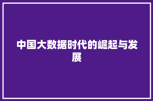 中国大数据时代的崛起与发展