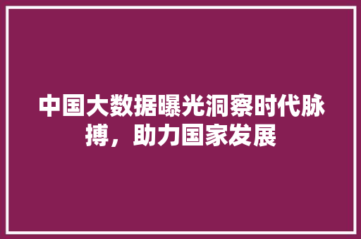 中国大数据曝光洞察时代脉搏，助力国家发展
