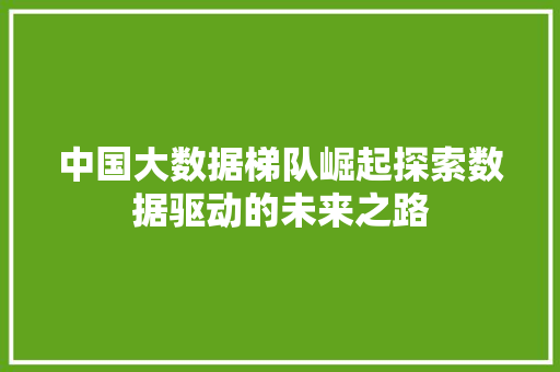 中国大数据梯队崛起探索数据驱动的未来之路