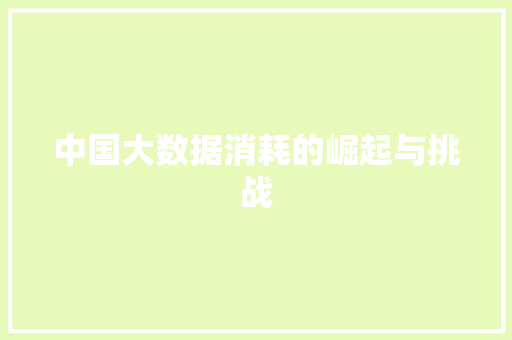 中国大数据消耗的崛起与挑战