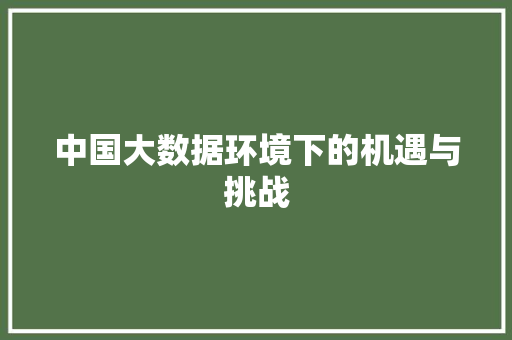中国大数据环境下的机遇与挑战