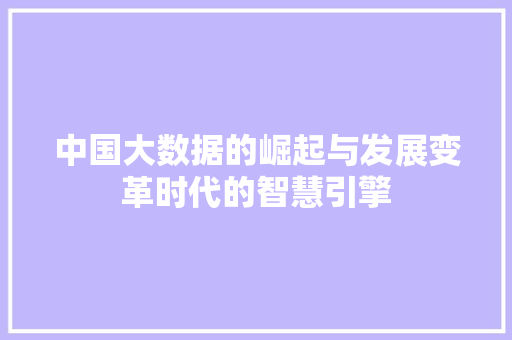 中国大数据的崛起与发展变革时代的智慧引擎