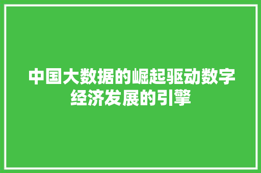 中国大数据的崛起驱动数字经济发展的引擎