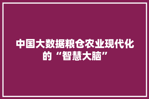中国大数据粮仓农业现代化的“智慧大脑”