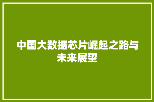 中国大数据芯片崛起之路与未来展望