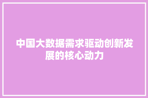 中国大数据需求驱动创新发展的核心动力