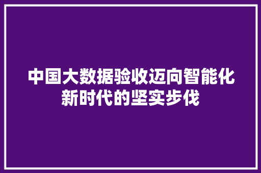 中国大数据验收迈向智能化新时代的坚实步伐