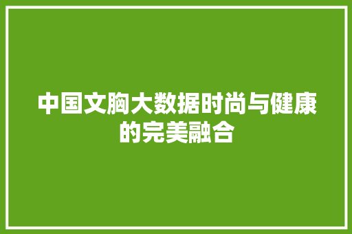 中国文胸大数据时尚与健康的完美融合