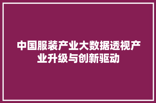 中国服装产业大数据透视产业升级与创新驱动