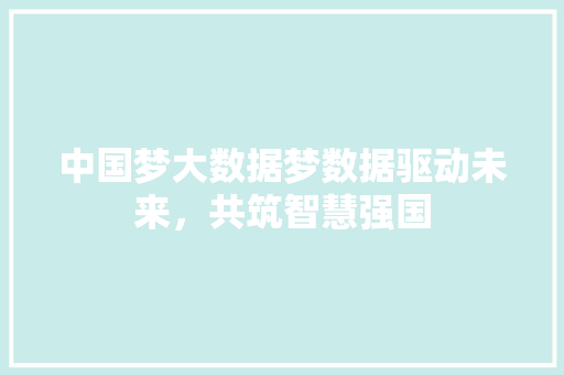 中国梦大数据梦数据驱动未来，共筑智慧强国