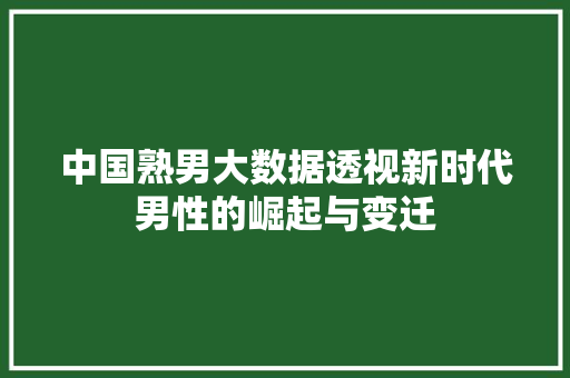 中国熟男大数据透视新时代男性的崛起与变迁