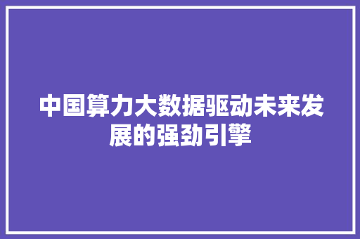 中国算力大数据驱动未来发展的强劲引擎