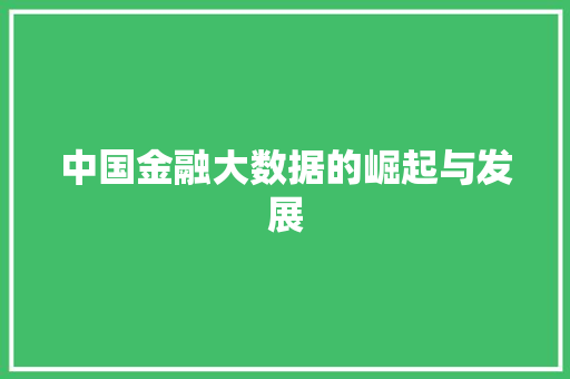 中国金融大数据的崛起与发展 Web前端