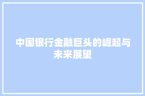 中国银行金融巨头的崛起与未来展望