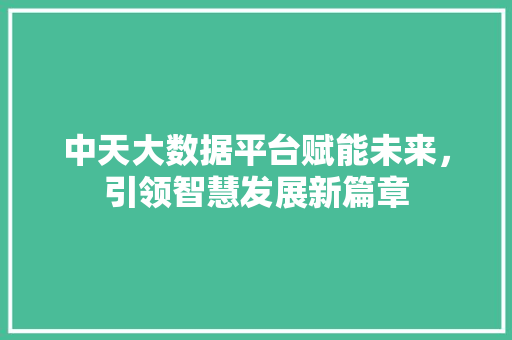 中天大数据平台赋能未来，引领智慧发展新篇章 服务器/数据库