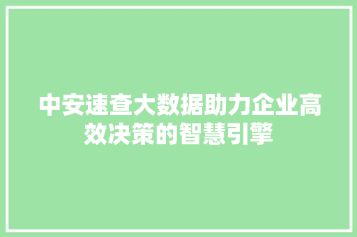 中安速查大数据助力企业高效决策的智慧引擎