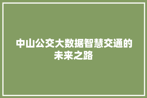 中山公交大数据智慧交通的未来之路