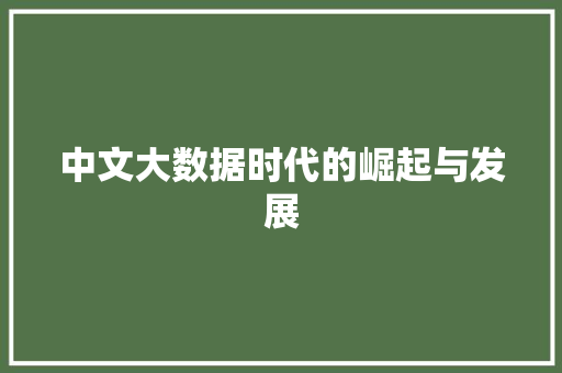 中文大数据时代的崛起与发展 SEO教程