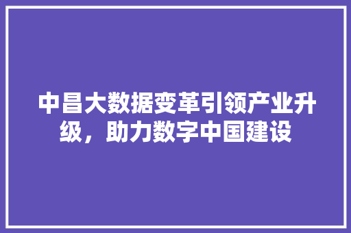 中昌大数据变革引领产业升级，助力数字中国建设