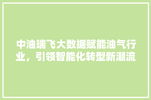 中油瑞飞大数据赋能油气行业，引领智能化转型新潮流 友链在线