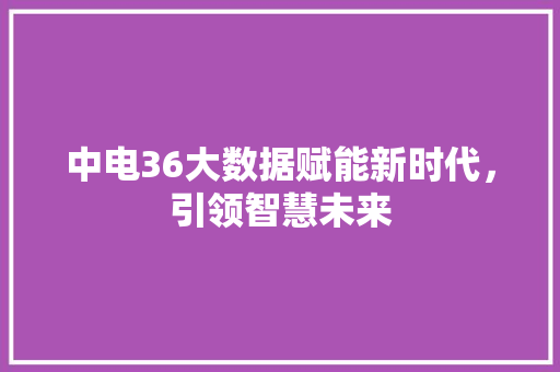 中电36大数据赋能新时代，引领智慧未来 服务器/数据库