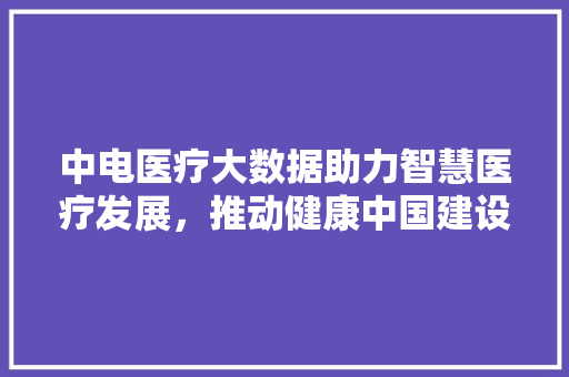 中电医疗大数据助力智慧医疗发展，推动健康中国建设 友链在线