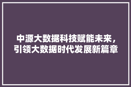 中源大数据科技赋能未来，引领大数据时代发展新篇章