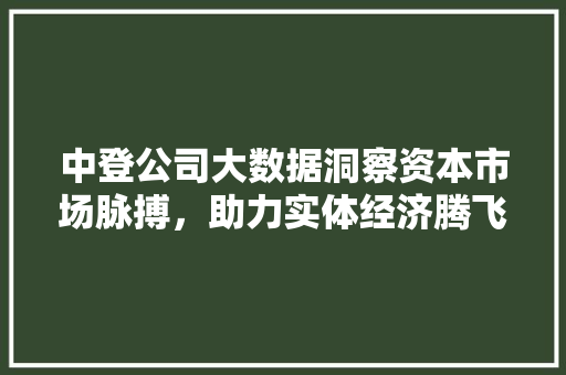 中登公司大数据洞察资本市场脉搏，助力实体经济腾飞