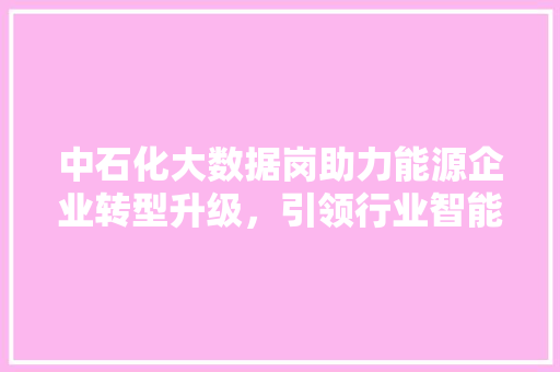 中石化大数据岗助力能源企业转型升级，引领行业智能化发展
