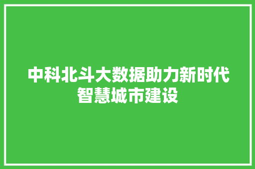 中科北斗大数据助力新时代智慧城市建设